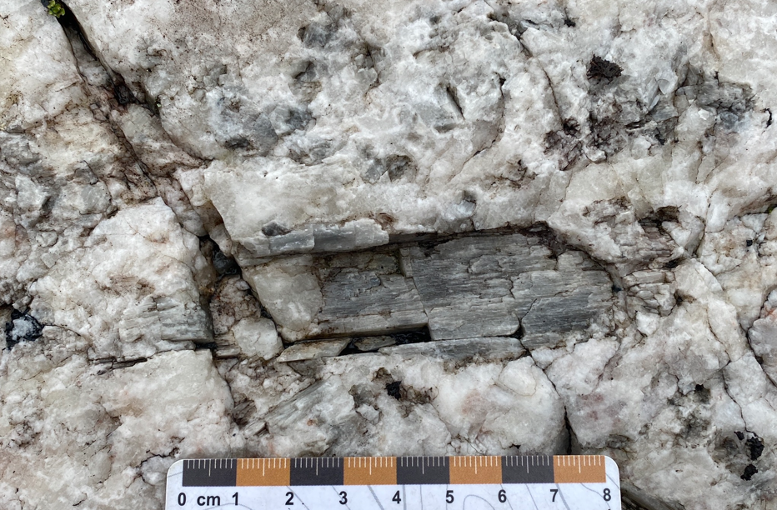 Patriot Discovers New Spodumene Pegmatite Occurrence CV14 At Corvette 